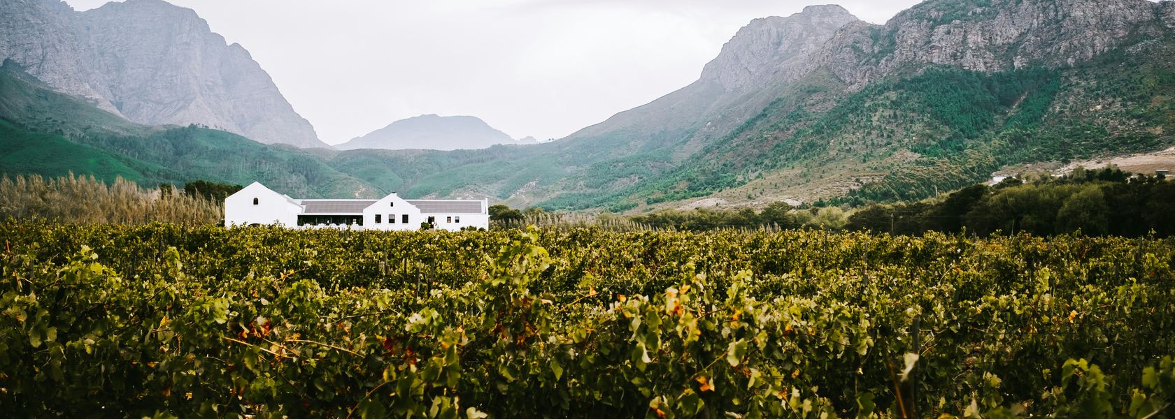 Franschhoek - de wijnhoofdstad van Zuid-Afrika | Matoke Tours